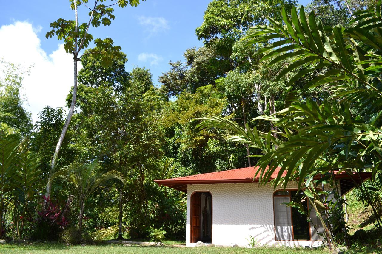 Natuga Ecolodge-Villas Dominical Baru Kamer foto