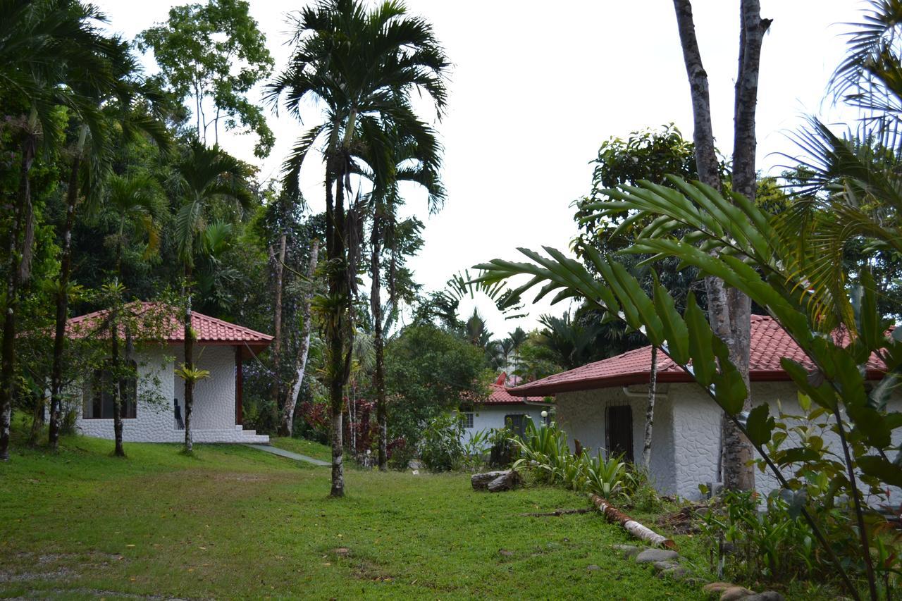 Natuga Ecolodge-Villas Dominical Baru Buitenkant foto